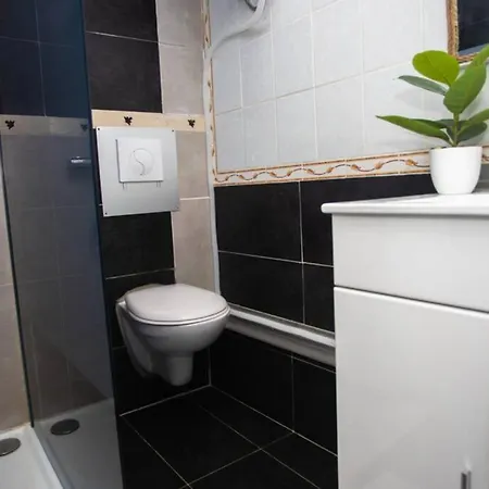 Apartament Le Boheme, Cosy, Hypercentre Grenoble